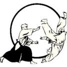 Great Lakes Aikido